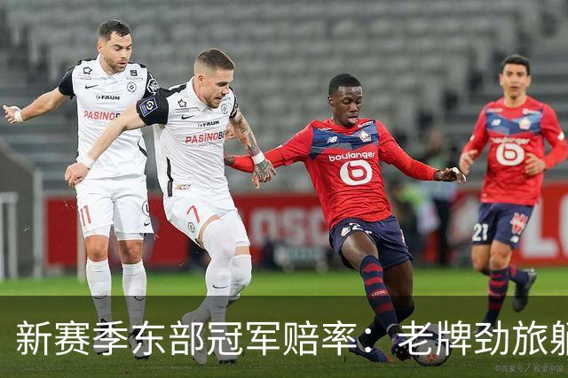 新赛季东部冠军赔率：老牌劲旅躺枪，尼克斯稳坐宝座！